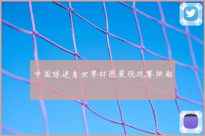 中国球迷看世界杯图展现观赛热潮
